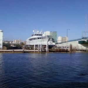 Meet your Posher, Ali